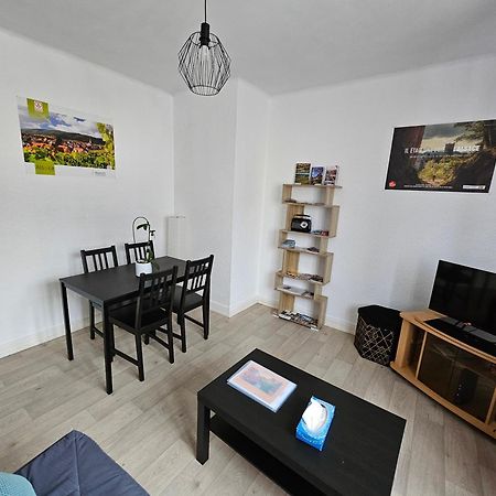 Le Nid Des Cigognes A Colmar Centre, Proche Gare, Marches De Noel Apartment Exterior photo